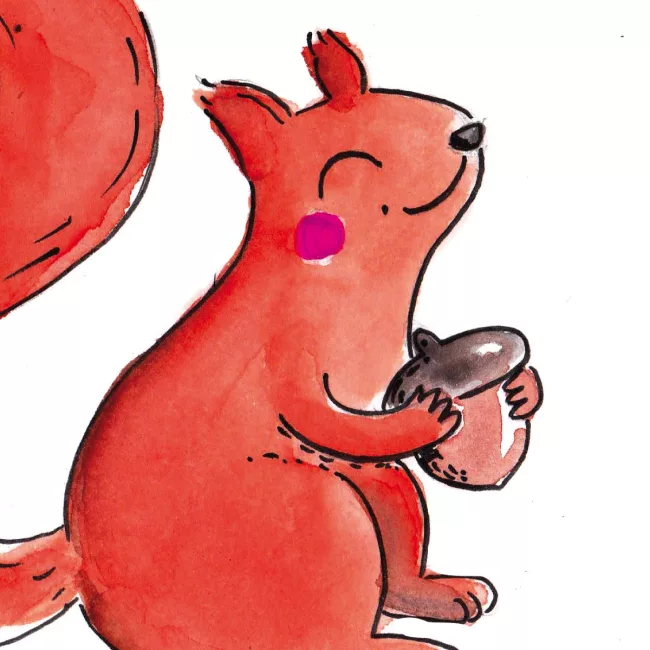 Ecureuil illustration jeunesse