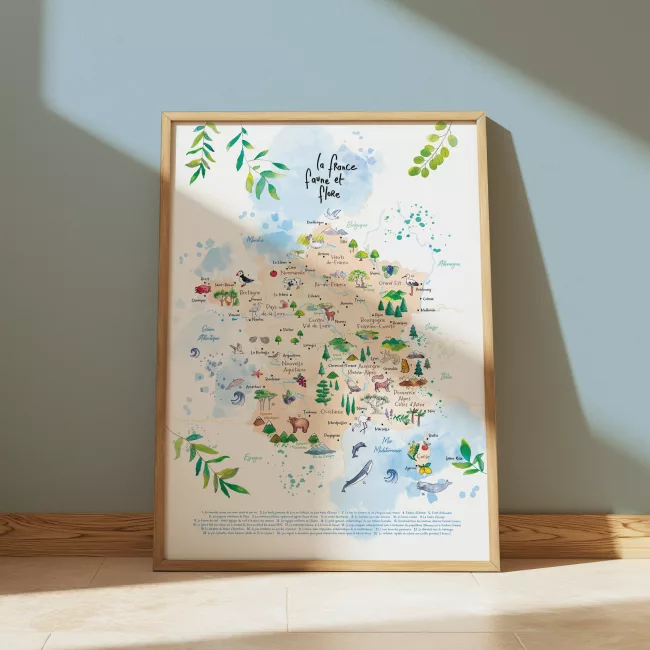ILLUSTRATION-CARTE-DE-FRANCE-FAUNE-ET-FLORE—ecologie