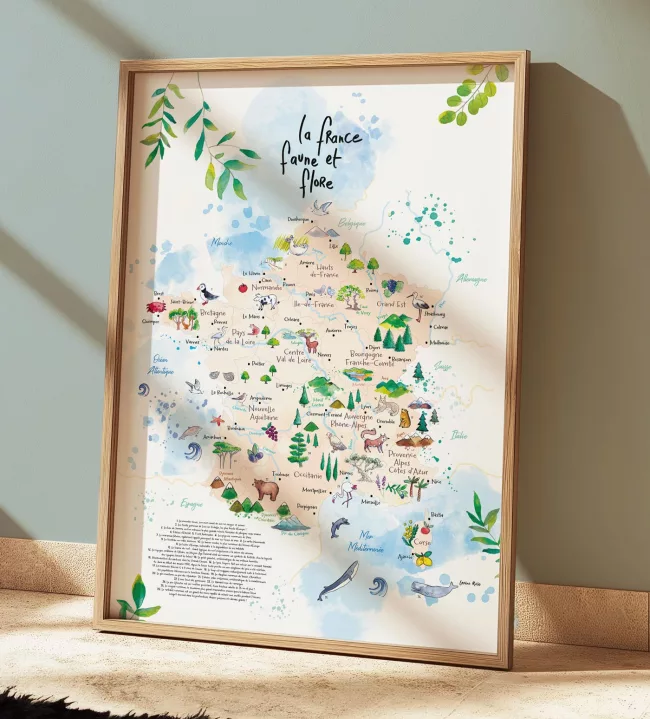 affiche-carte-de-france-faune-et-flore-BD