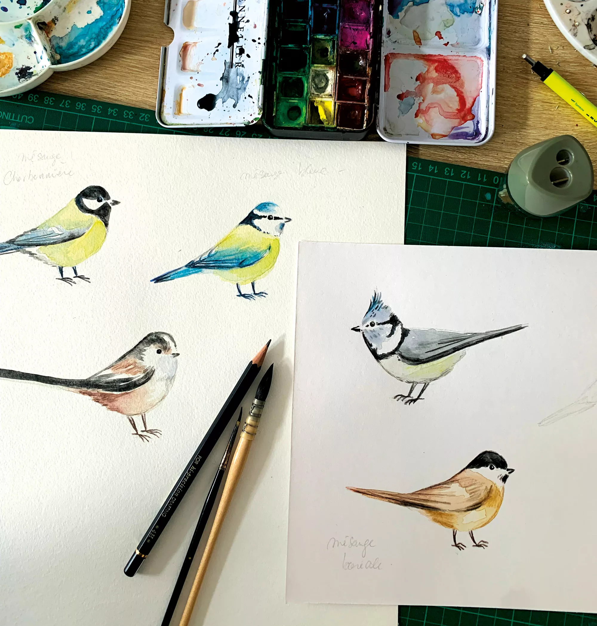 aquarelle-illustration-oiseaux