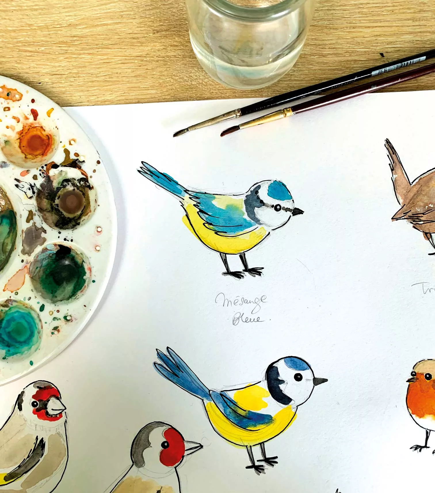 atelier-oiseaux-aquarelle