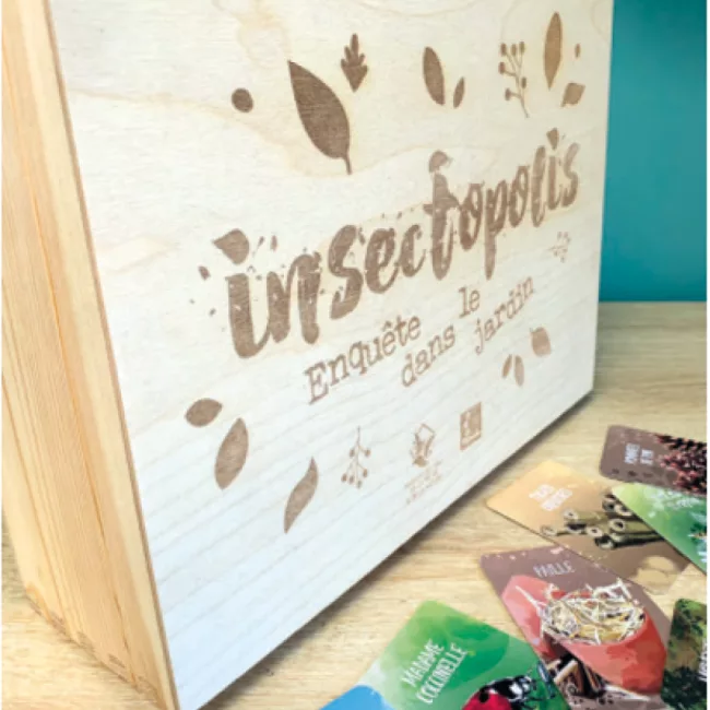boite-jeu-insectopolis