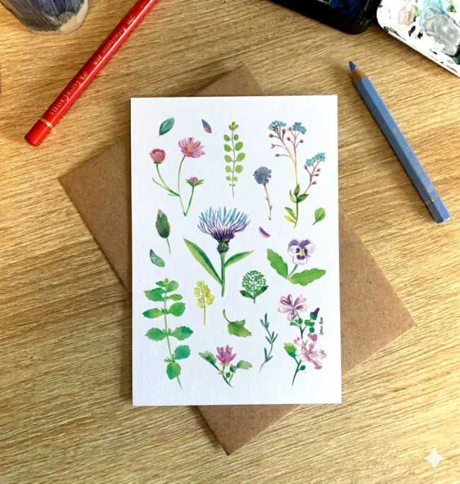 herbier carte postale