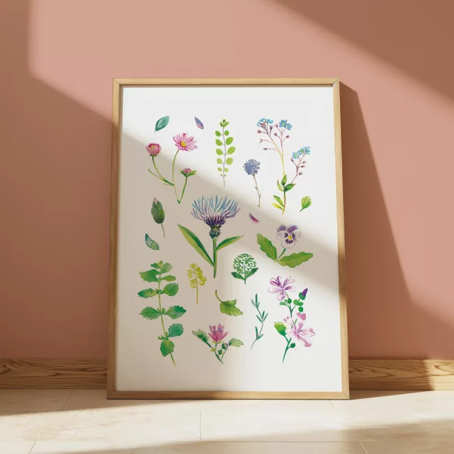 herbier floral et vegetal aquarelle Lorène Russo illustration