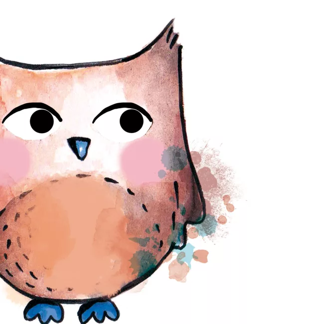 hibou illustration jeunesse