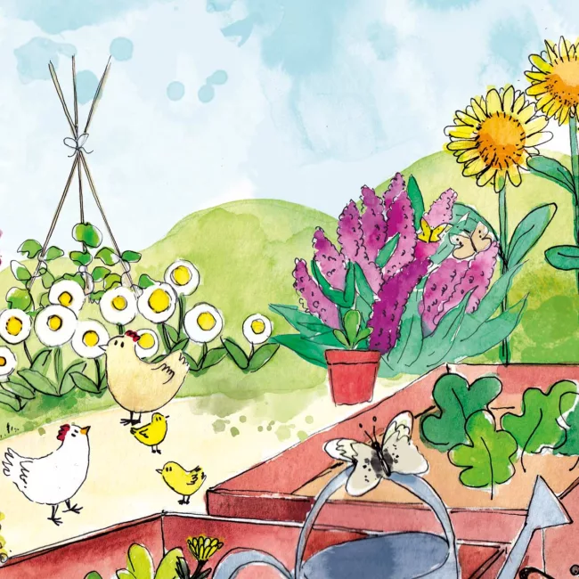 illustration-petites-poules-aquarelle