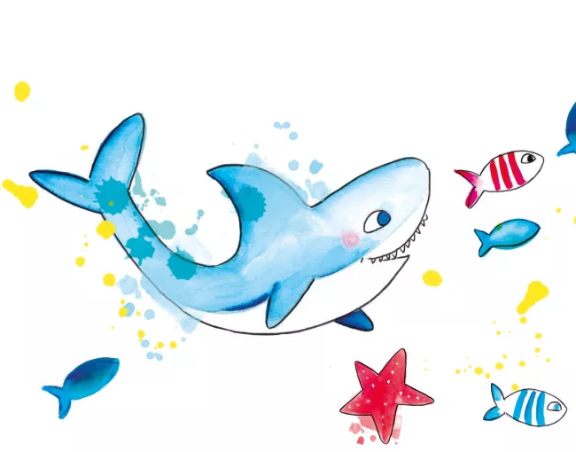 illustration-requin