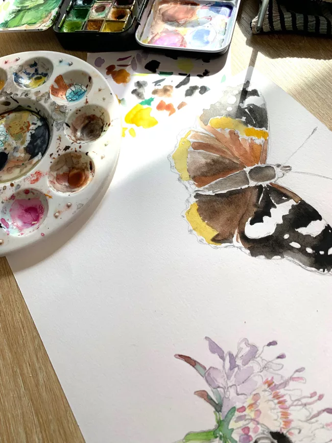 papillon-dessin-naturaliste