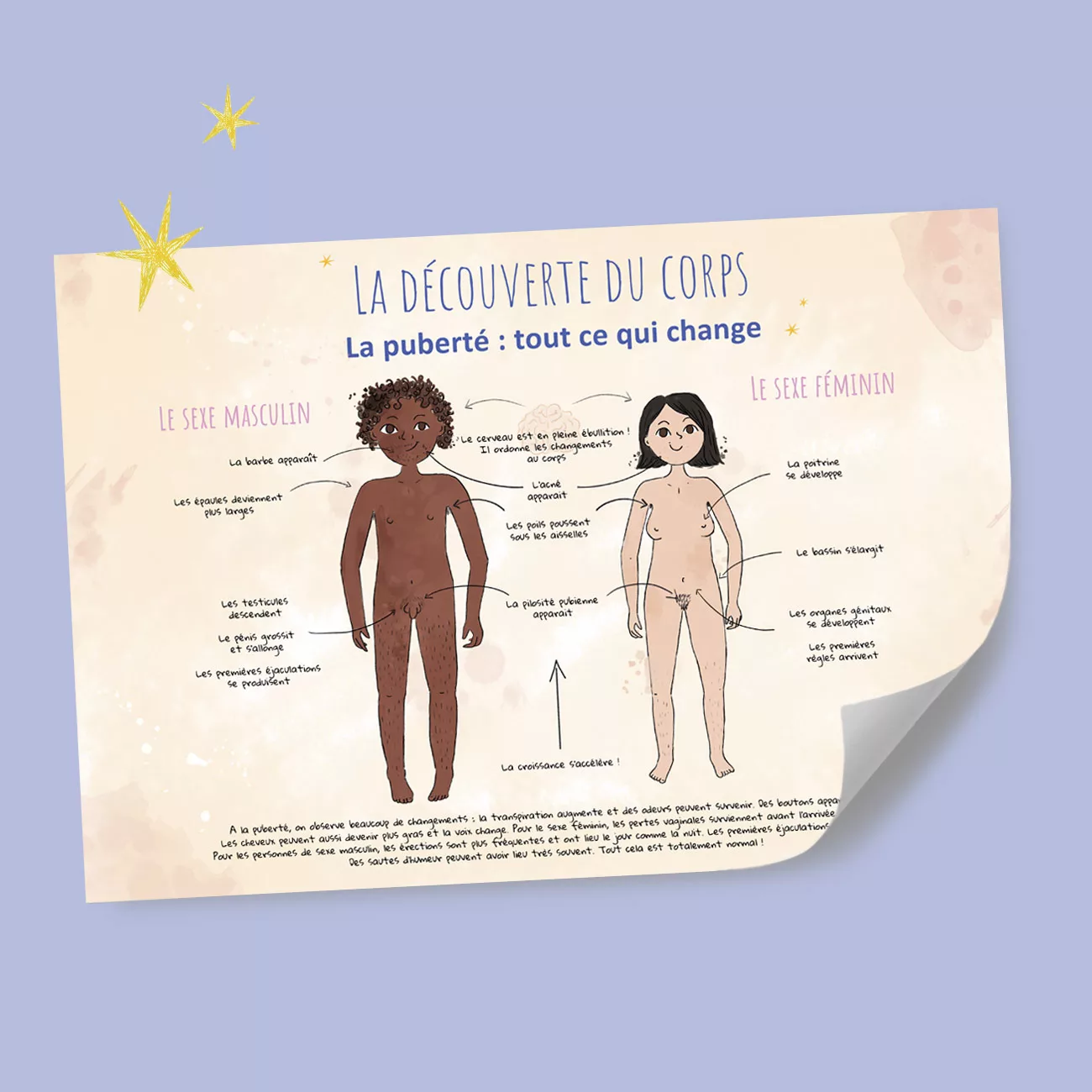 planche-anatomique-la-puberte