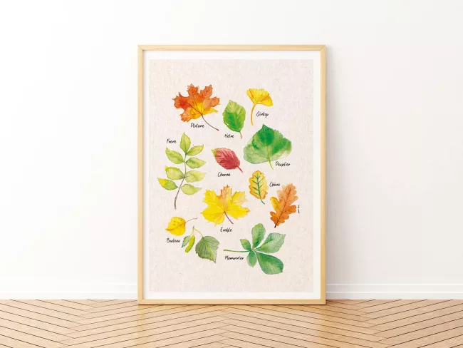 poster-illustraiton-pedagogique-feuilles-des-arbres