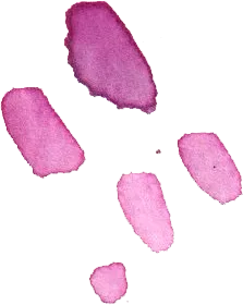 taches-roses