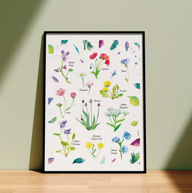 affiche-poster-fleurs-sauvage-illustration-aquarelle
