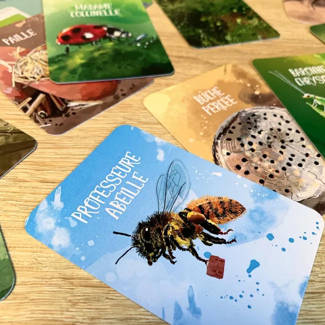 cartes de jeu illustration naturaliste