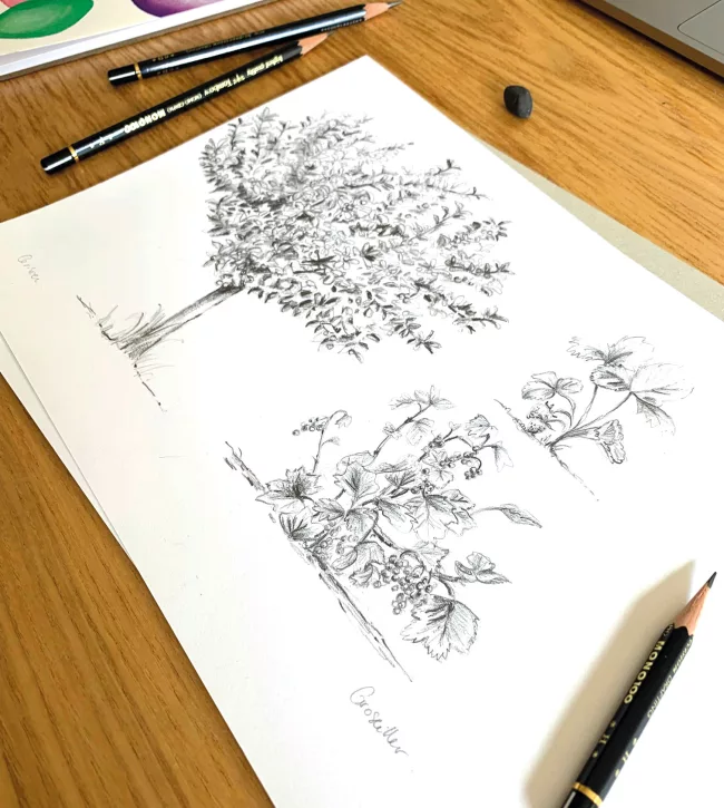 illustration-arbre-crayon-noir-et-blanc