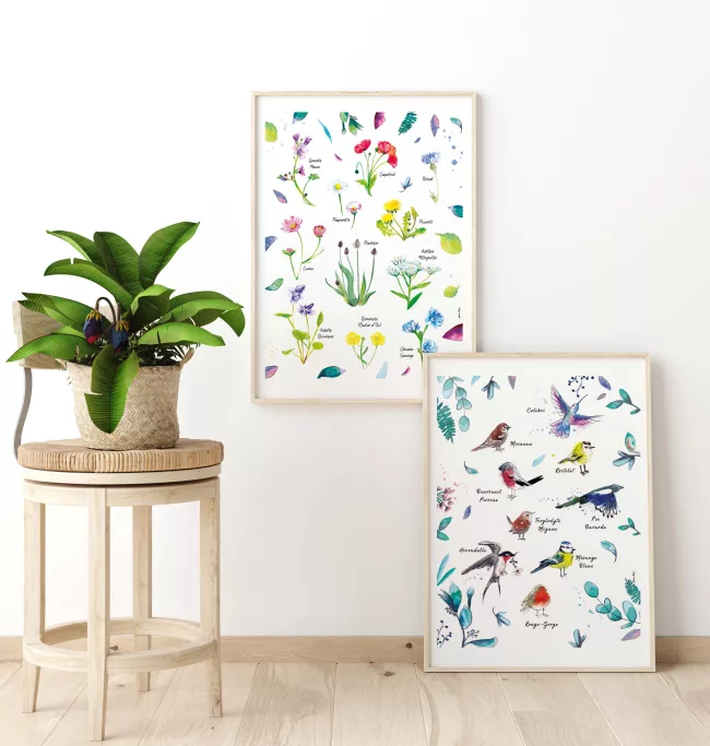 pack-de-deux-affiches-illustrations-botanique-nature