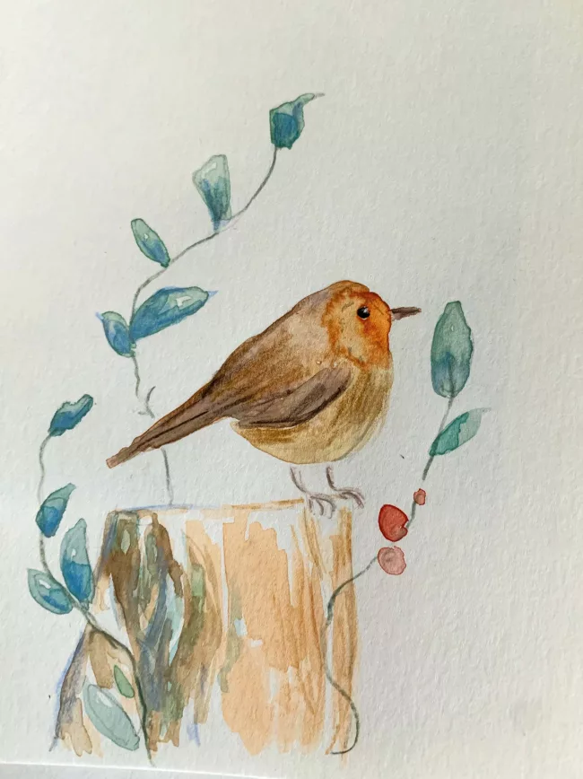 rouge-gorge-aquarelle-et-crayon