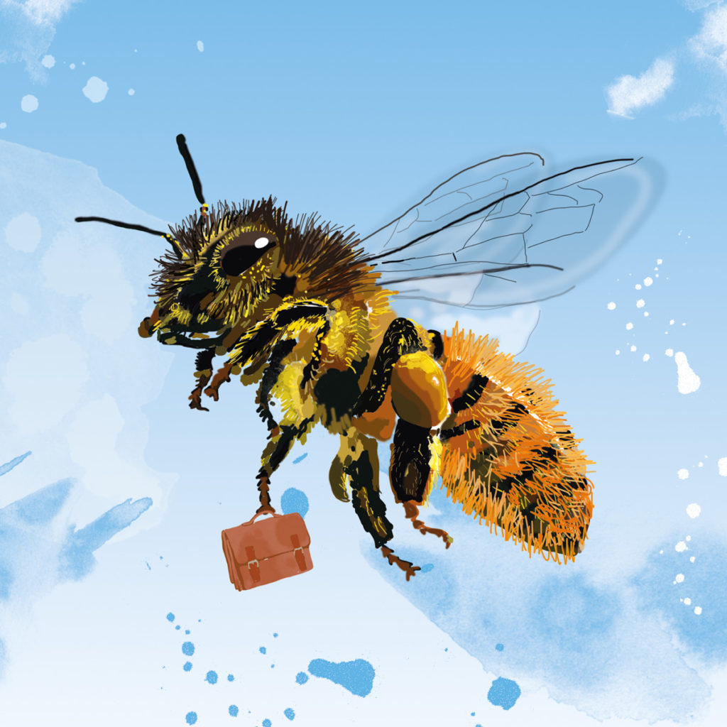abeille-illustration-insectopolis-lorene-russo