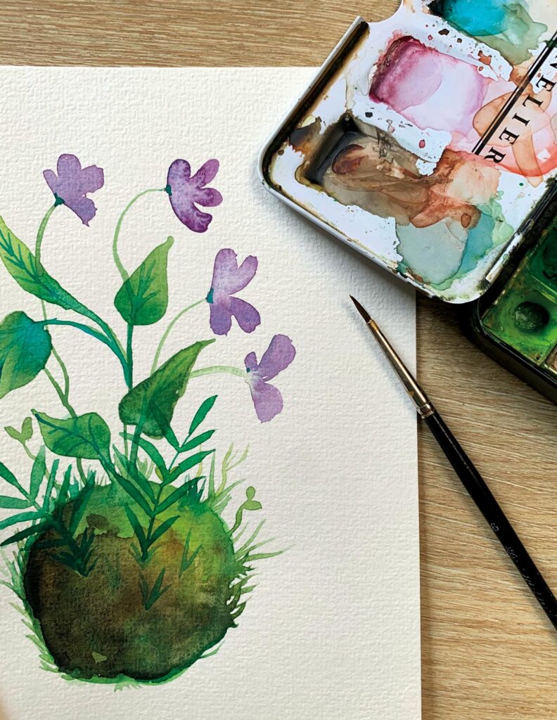 Ateliers créatifs : initiation à l’aquarelle et au dessin à Lille (et sa métropole)