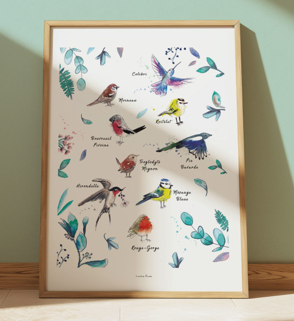 illustration oiseaux des jardins poster