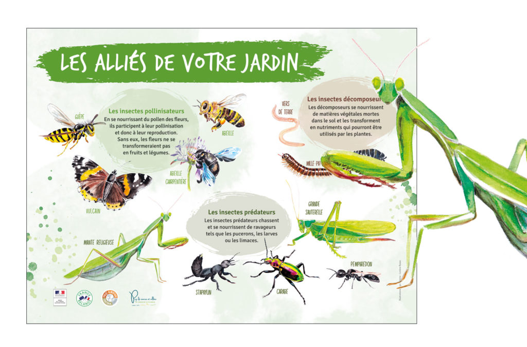 panneau de signalétique sur les insectes illustration