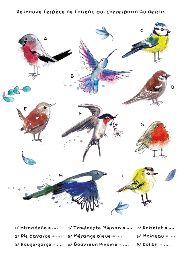jeu-oiseaux-lorene-russo-illustrations-lille