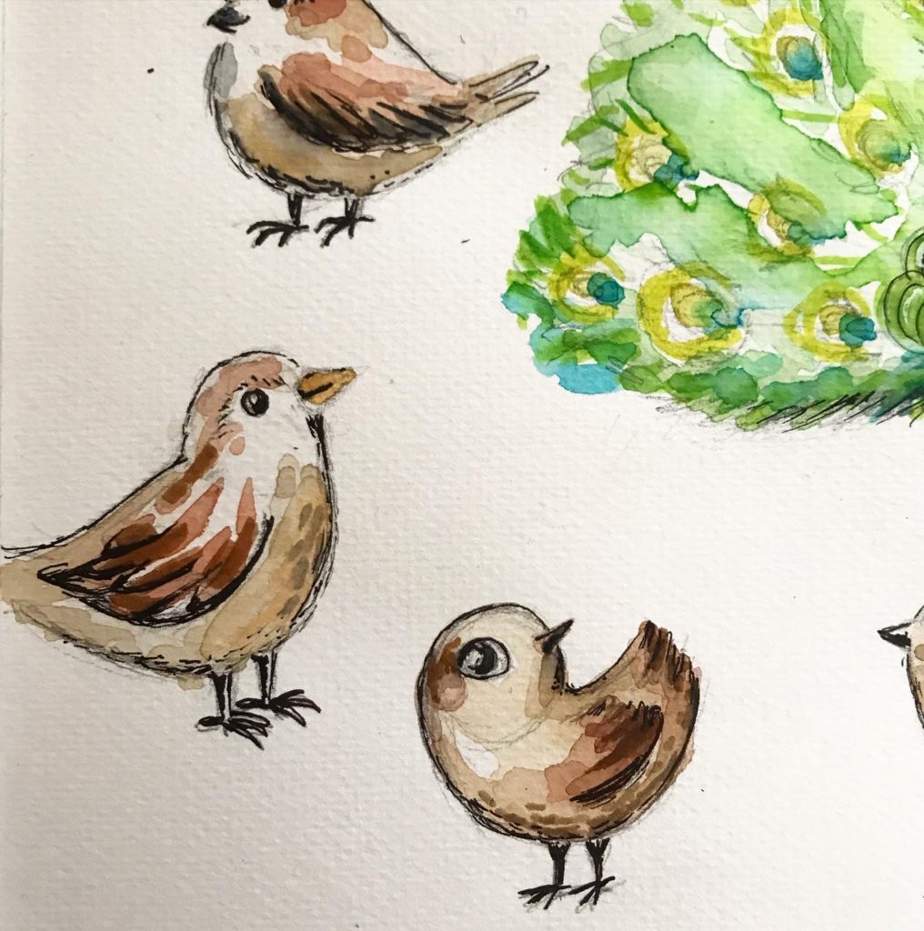 croquis-oiseaux-le-mouton-et-la-plume-livre-jeunesse-illustrations-lorene-russo