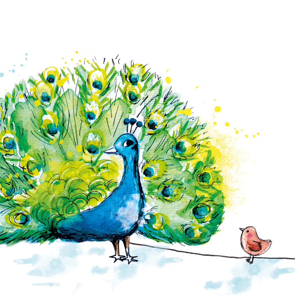 paon-oiseau-le-mouton-et-la-plume-livre-jeunesse-illustrations-lorene-russo