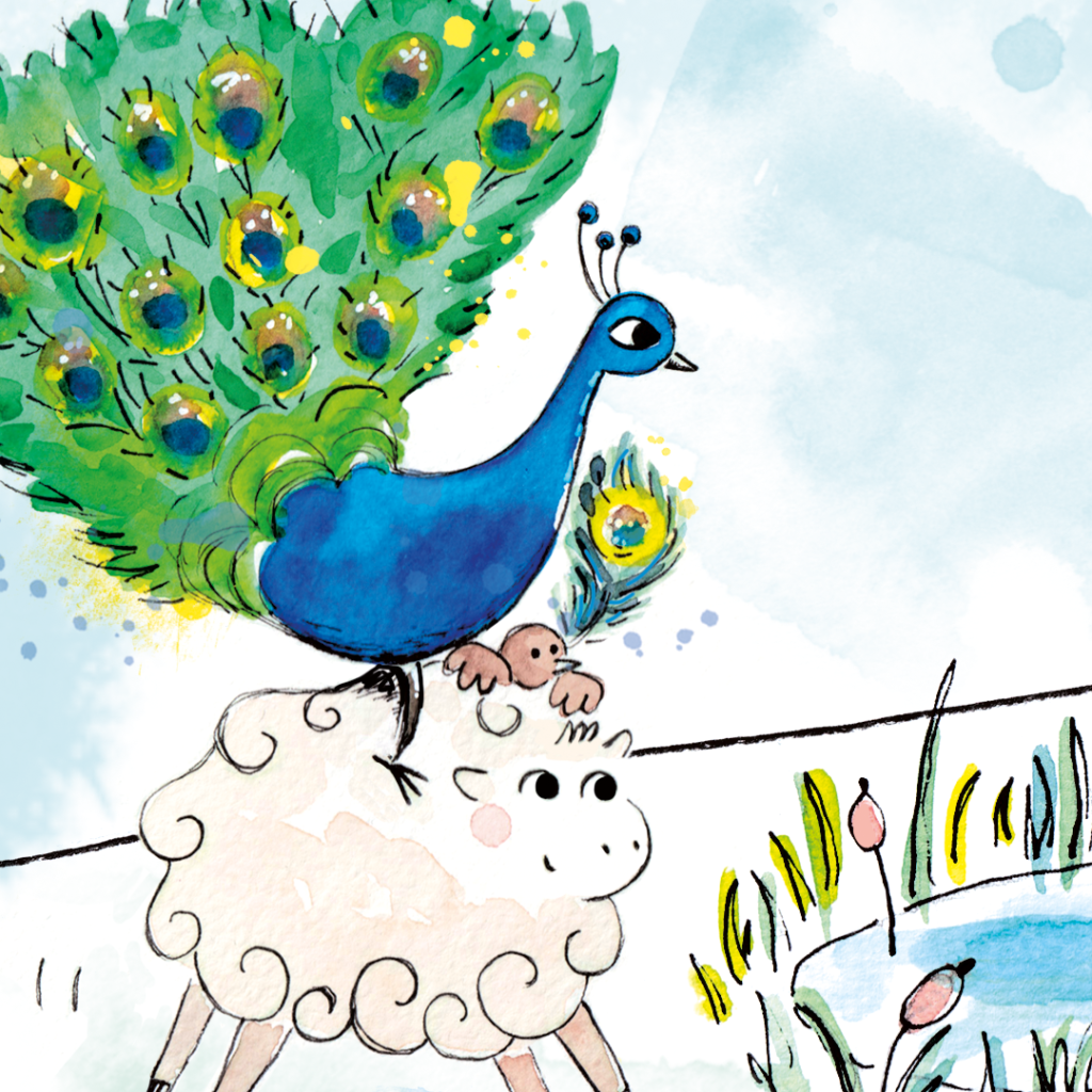 paon-oiseau-mouton-le-mouton-et-la-plume-livre-jeunesse-illustrations-lorene-russo