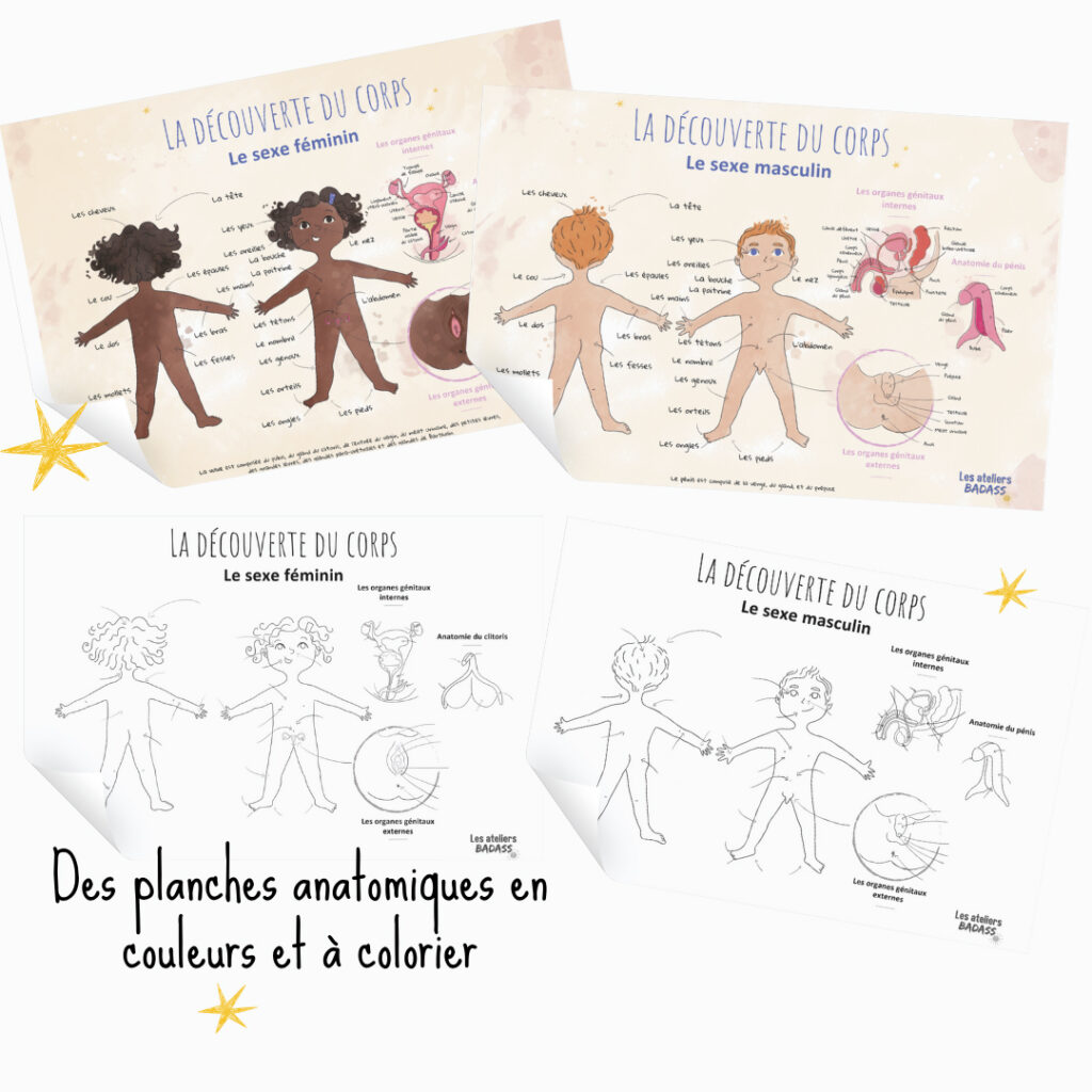 planches anatomiques illustrées