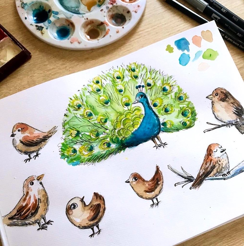 planche-oiseaux-le-mouton-et-la-plume-livre-jeunesse-illustrations-lorene-russo